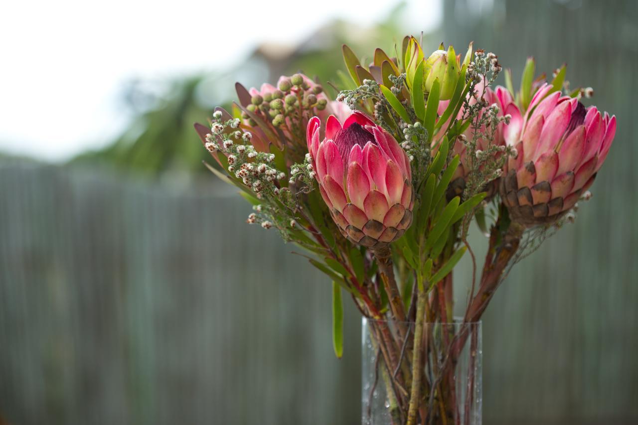 African Perfection 1 Jeffreys Bay Exterior foto